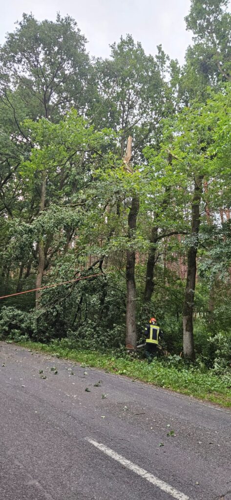 Einsatz: Baum auf Straße – L 160