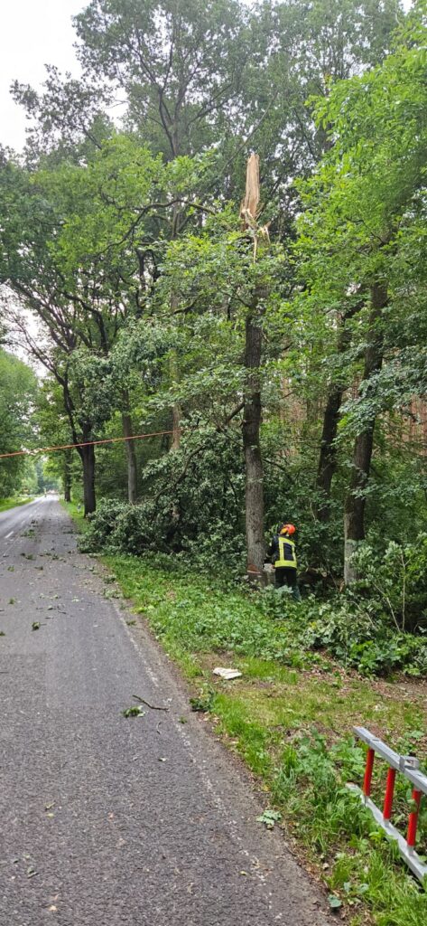 Einsatz: Baum auf Straße – L 160