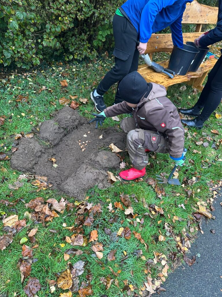 Leute setzen Blumenzwiebeln in ein wie ein Buch aufgeklapptes Rasenstück