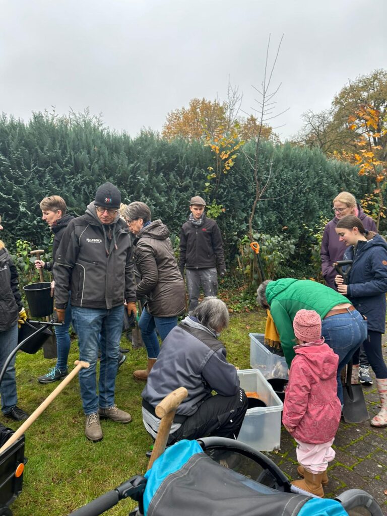 Entnahme der Blumenzwiebeln aus dem großen Behälter