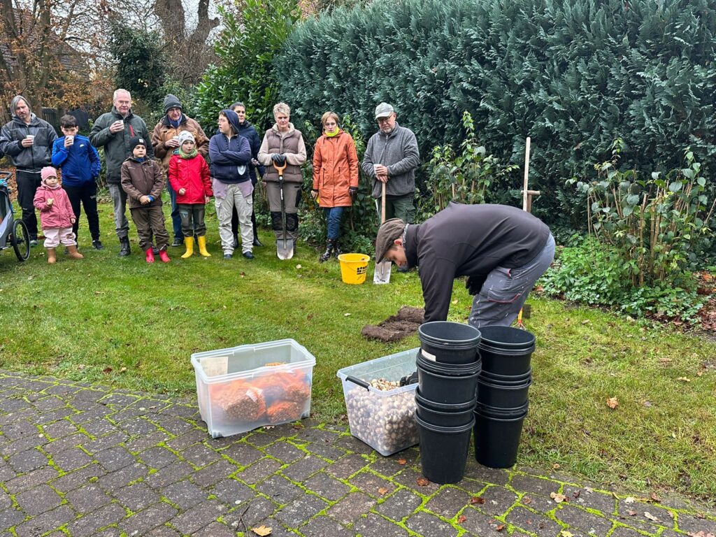 Erklärung von Felix wie die Blumenzwiebeln gesetzt werden